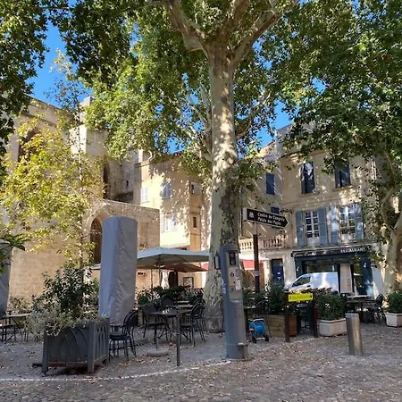 La Terrasse Des Papes * Avignon
