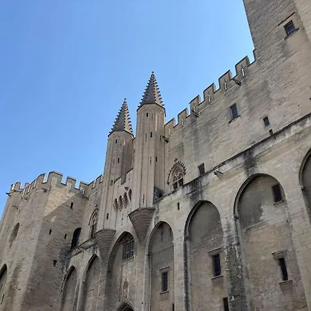 La Terrasse Des Papes Apartment Avignon