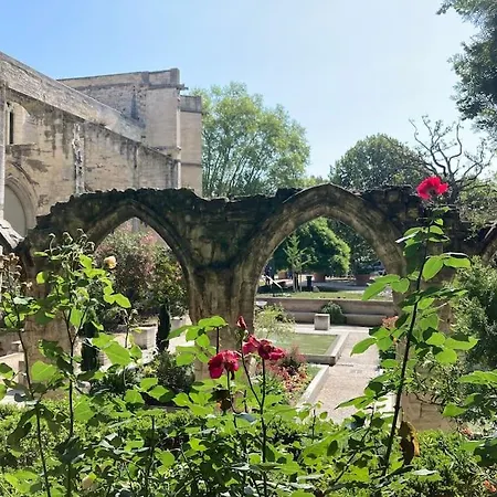 La Terrasse Des Papes Apartment
